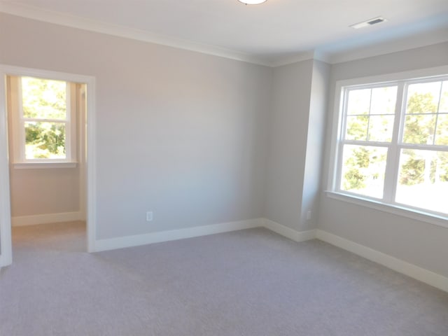 unfurnished room featuring crown molding and carpet