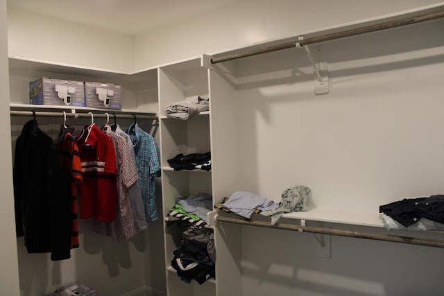 view of spacious closet