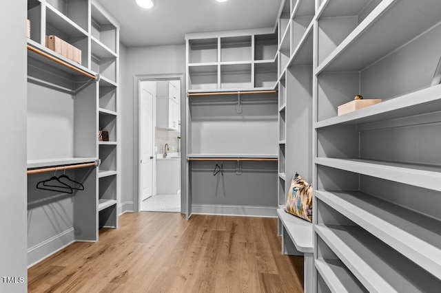 spacious closet with light hardwood / wood-style floors