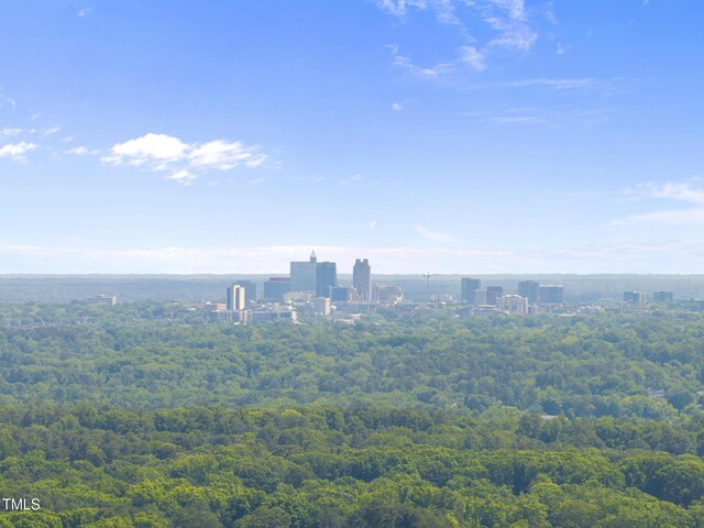 5307 Dixon Dr, Raleigh, NC 27609 - photo 48