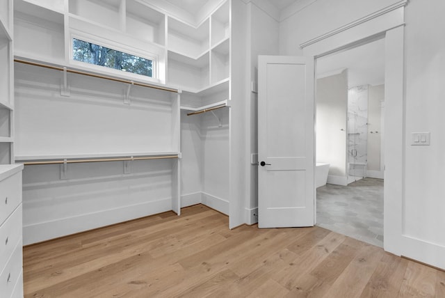 spacious closet featuring light hardwood / wood-style flooring