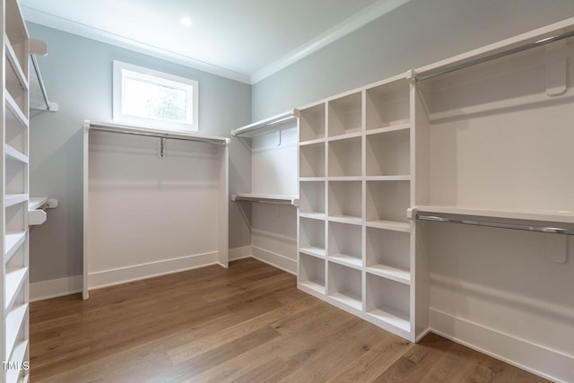 walk in closet with wood-type flooring