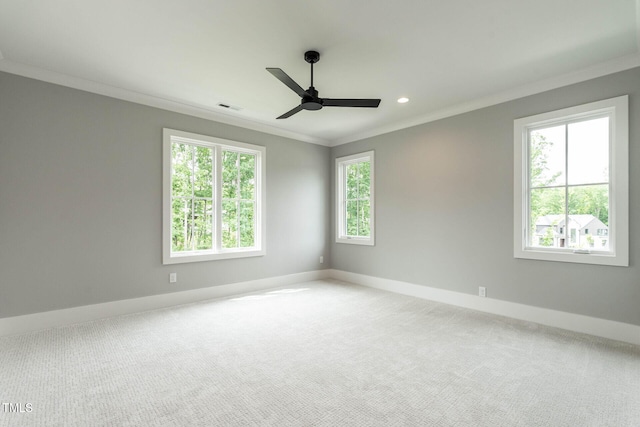 empty room featuring ceiling fan, ornamental molding, and carpet floors