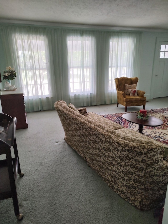 carpeted living room featuring a healthy amount of sunlight and a textured ceiling