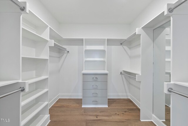 spacious closet with hardwood / wood-style floors