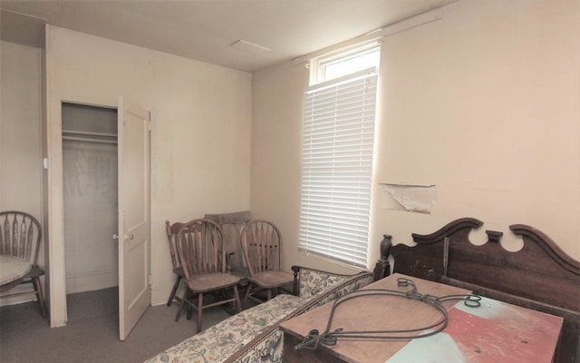 carpeted bedroom featuring a closet