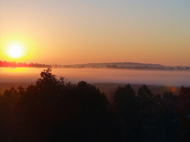 view of nature