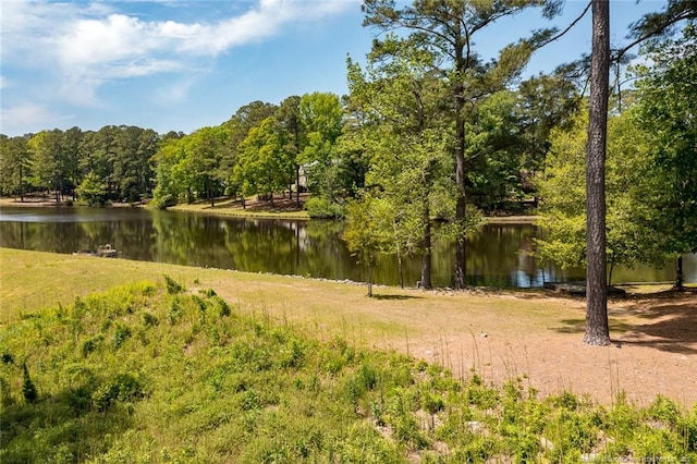 2853 Skye Dr, Fayetteville, NC 28303 - photo 9