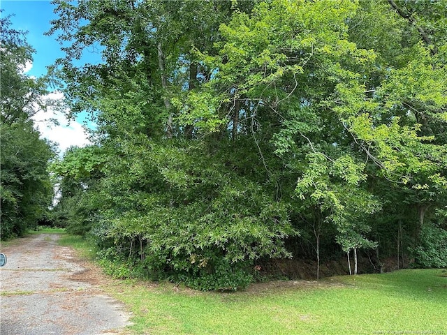 Peach St, Rowland, NC 28383