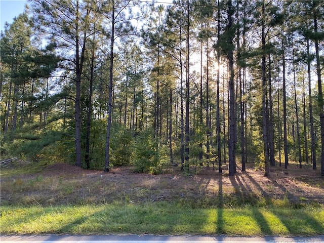 1170 Old Vander Rd, Fayetteville, NC 28312