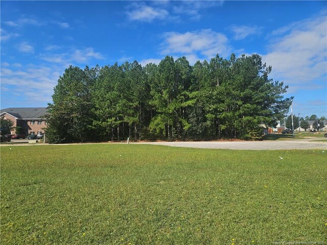 247 Meed Ct, Fayetteville, NC 28303 - photo 5