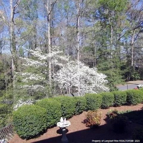 view of yard featuring a forest view