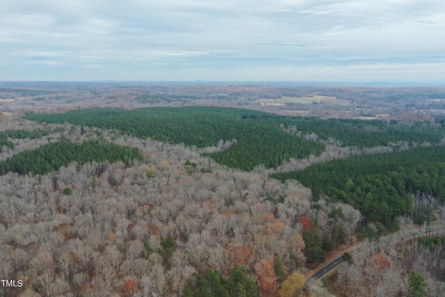 8636 Johnson Mill Rd, Bahama, NC 27503 - photo 9