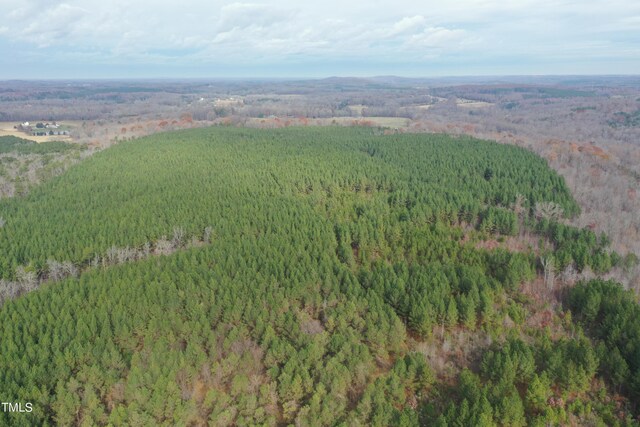 8636 Johnson Mill Rd, Bahama, NC 27503 - photo 15