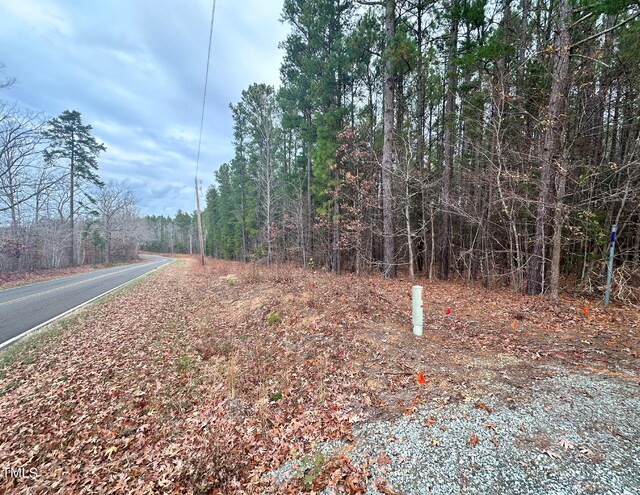 8636 Johnson Mill Rd, Bahama, NC 27503 - photo 5