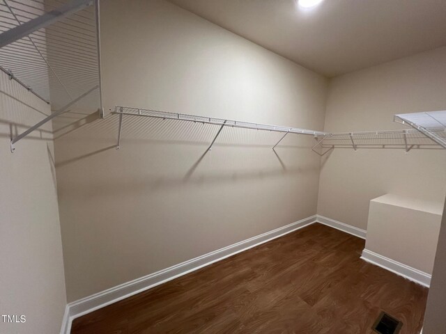 spacious closet with dark wood-type flooring