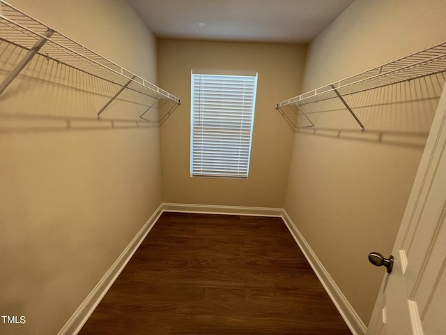 spacious closet with dark hardwood / wood-style flooring