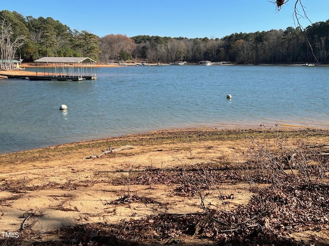 property view of water featuring a boat dock