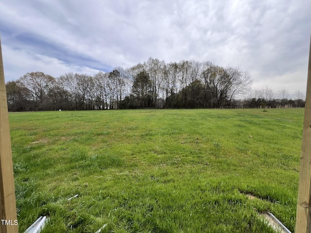 view of yard with a rural view