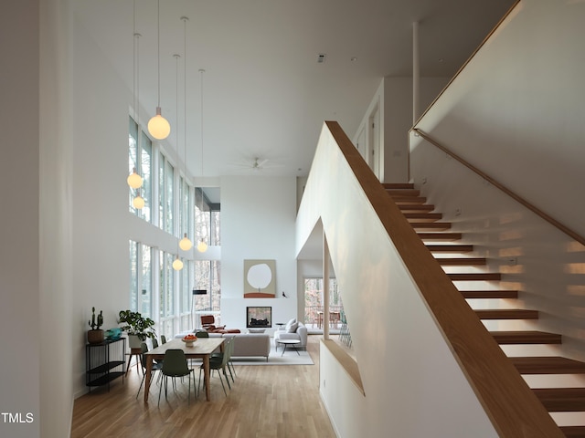 stairs with ceiling fan, hardwood / wood-style floors, and a high ceiling