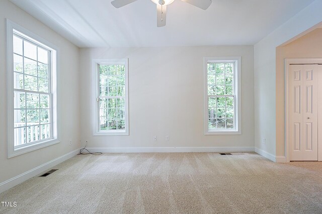 empty room featuring carpet and a healthy amount of sunlight