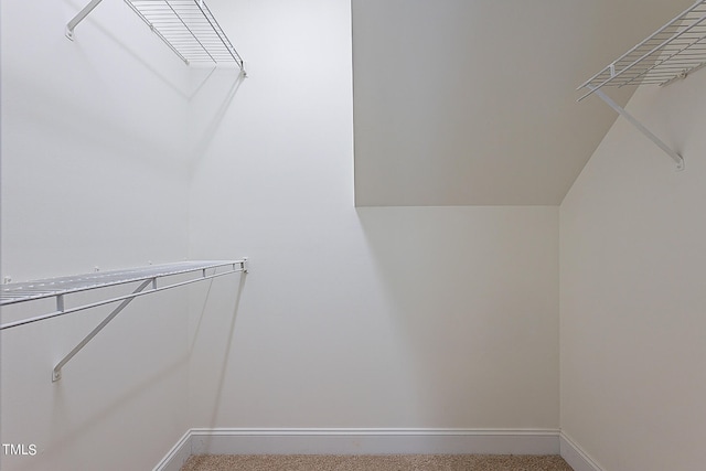 walk in closet featuring carpet