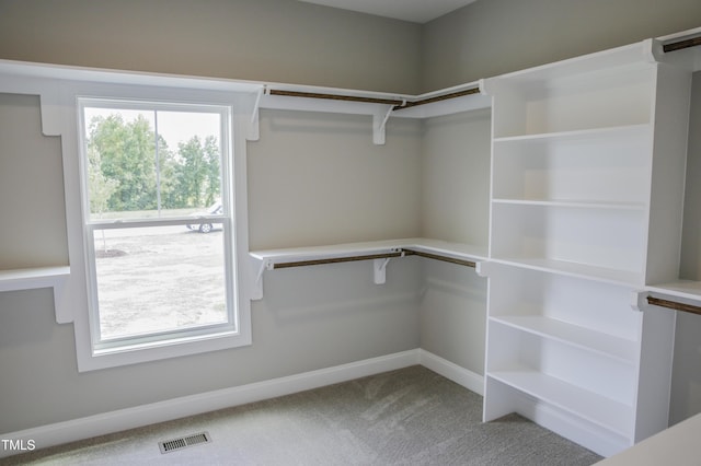 spacious closet with carpet flooring