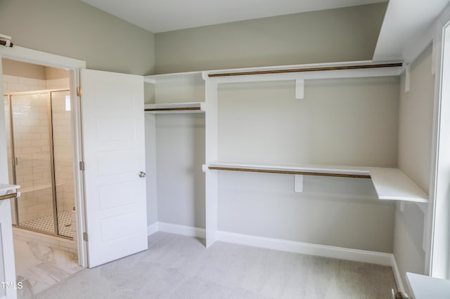 walk in closet featuring light colored carpet