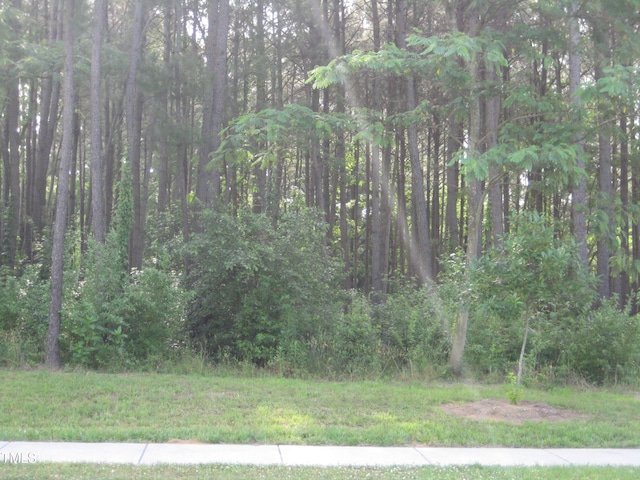 0 US Highway 1, Youngsville NC, 27596 land for sale