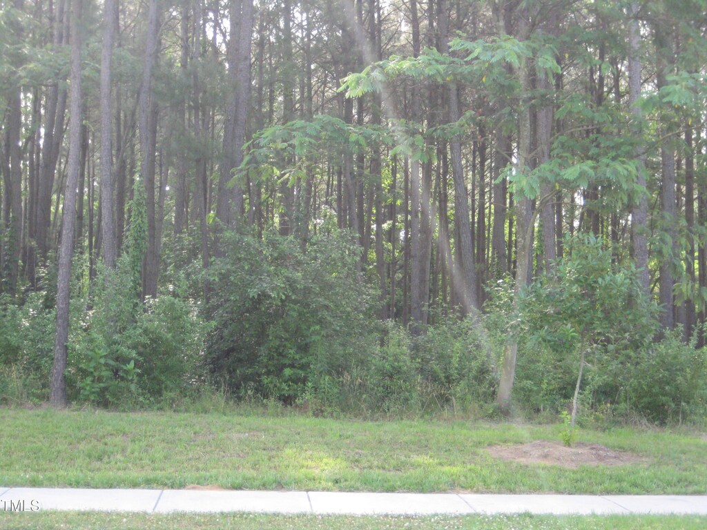 0 US Highway 1, Youngsville, NC 27596 - photo 1