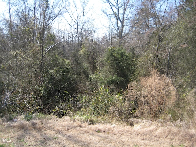 Listing photo 2 for 0 US Highway 1, Youngsville NC 27596