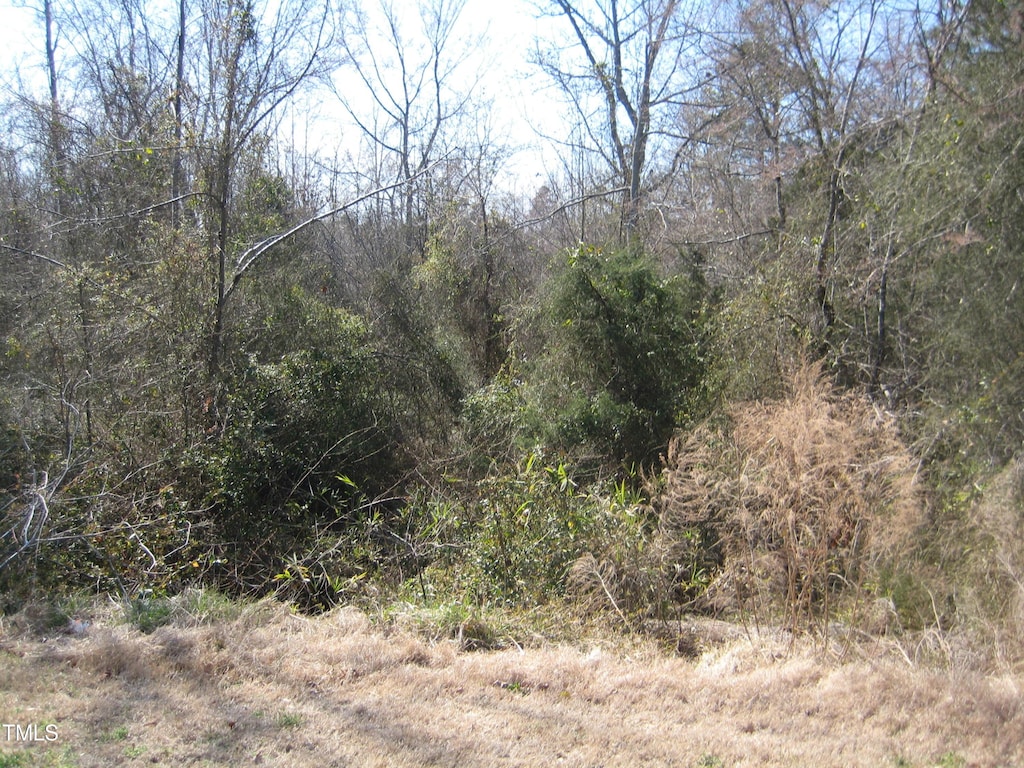0 US Highway 1, Youngsville, NC 27596 - photo 2