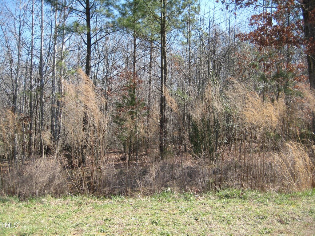 0 US Highway 1, Youngsville, NC 27596 - photo 3