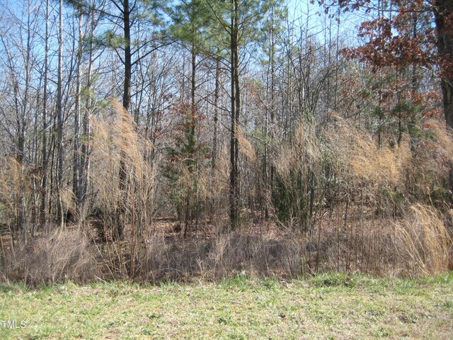 0 US Highway 1, Youngsville, NC 27596 - photo 3