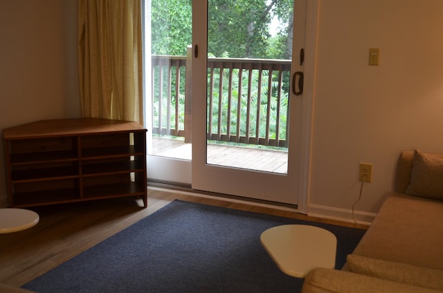 entryway featuring wood-type flooring