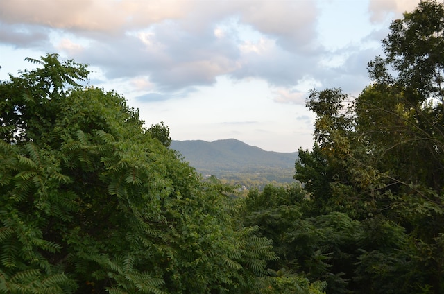 422 Windswept Dr Unit 422, Asheville, NC 28801 - view of mountain feature featuring a forest view