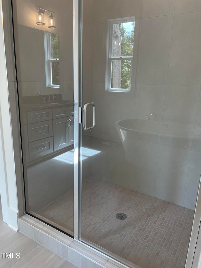 bathroom with vanity and a shower with shower door