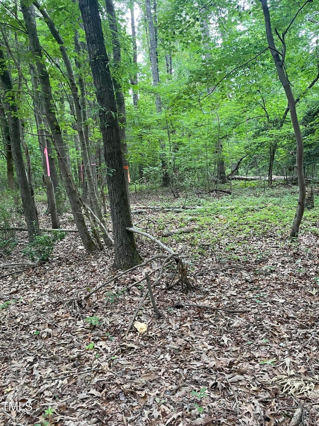 5982 Pleasant Hill Church Rd, Siler City, NC 27344 - photo 3