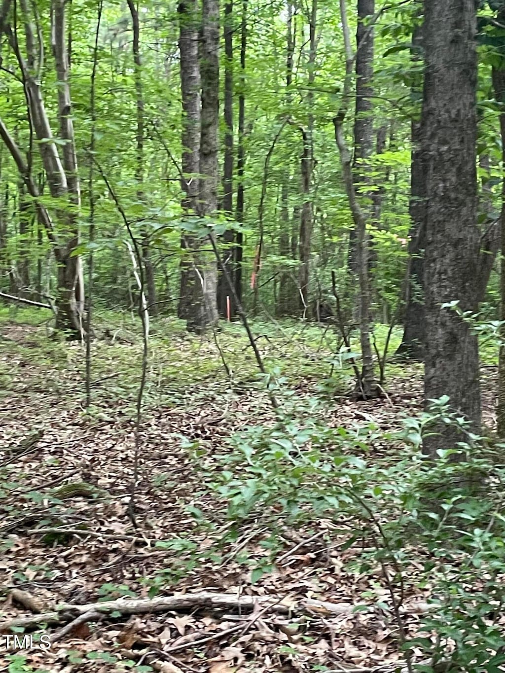 5982 Pleasant Hill Church Rd, Siler City, NC 27344 - photo 4