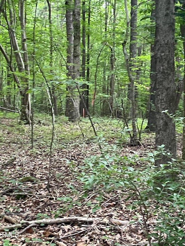 5982 Pleasant Hill Church Rd, Siler City, NC 27344 - photo 4
