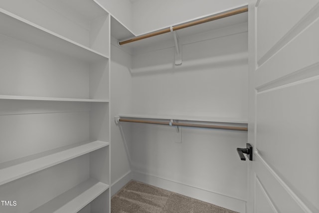 spacious closet with carpet floors