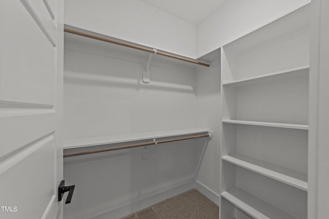 view of spacious closet