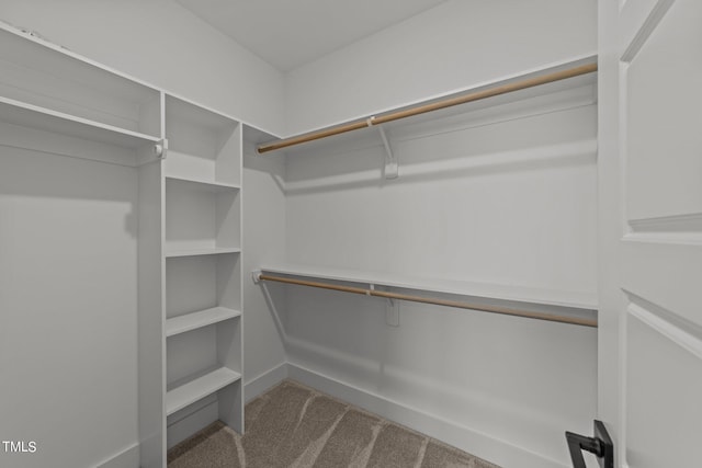 walk in closet featuring light colored carpet