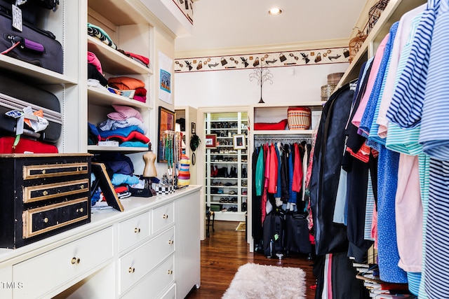 spacious closet featuring dark hardwood / wood-style floors