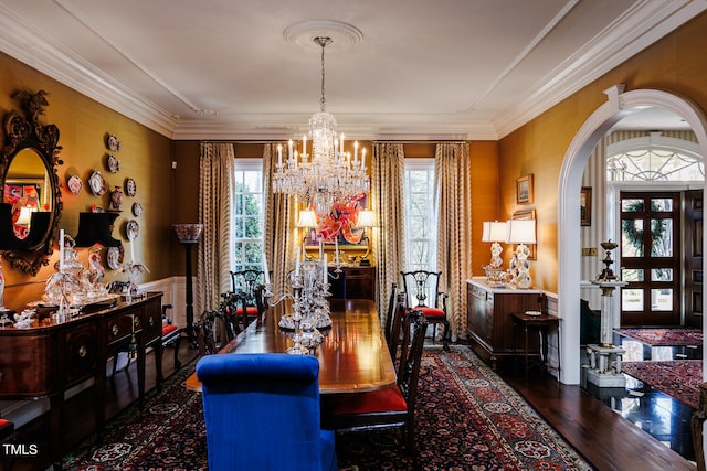 dining space with a chandelier, dark hardwood / wood-style floors, a healthy amount of sunlight, and ornamental molding