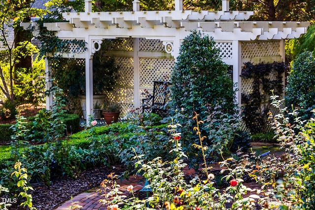 view of patio / terrace featuring a pergola