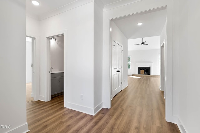 corridor with wood-type flooring