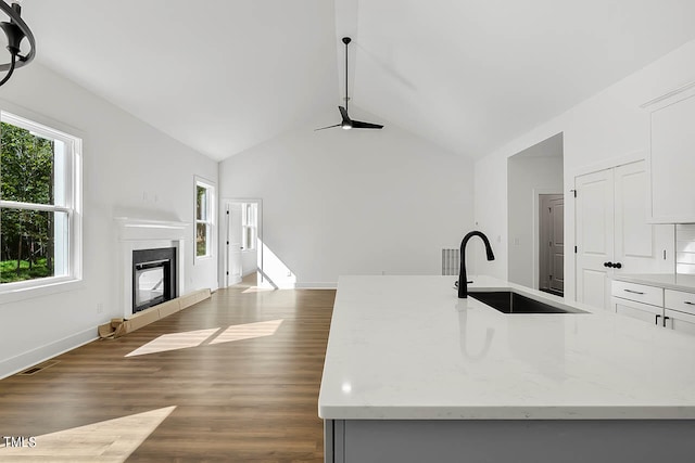 kitchen featuring an island with sink, light stone counters, hardwood / wood-style floors, and sink