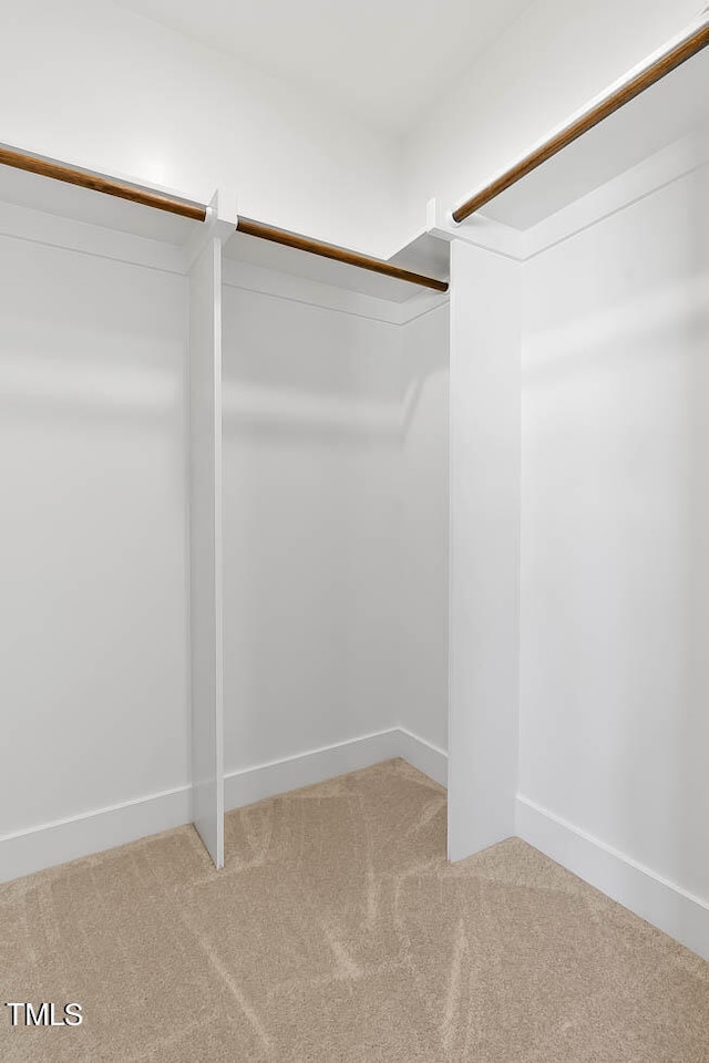 walk in closet with carpet