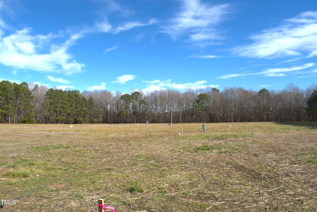 Listing photo 3 for 108 Viola Ln, Franklinton NC 27525